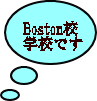 BostonZ wZł